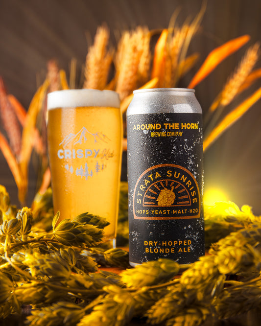 A can and a glass of Strata Sunrise blonde beer with hop plants and barley in the background.