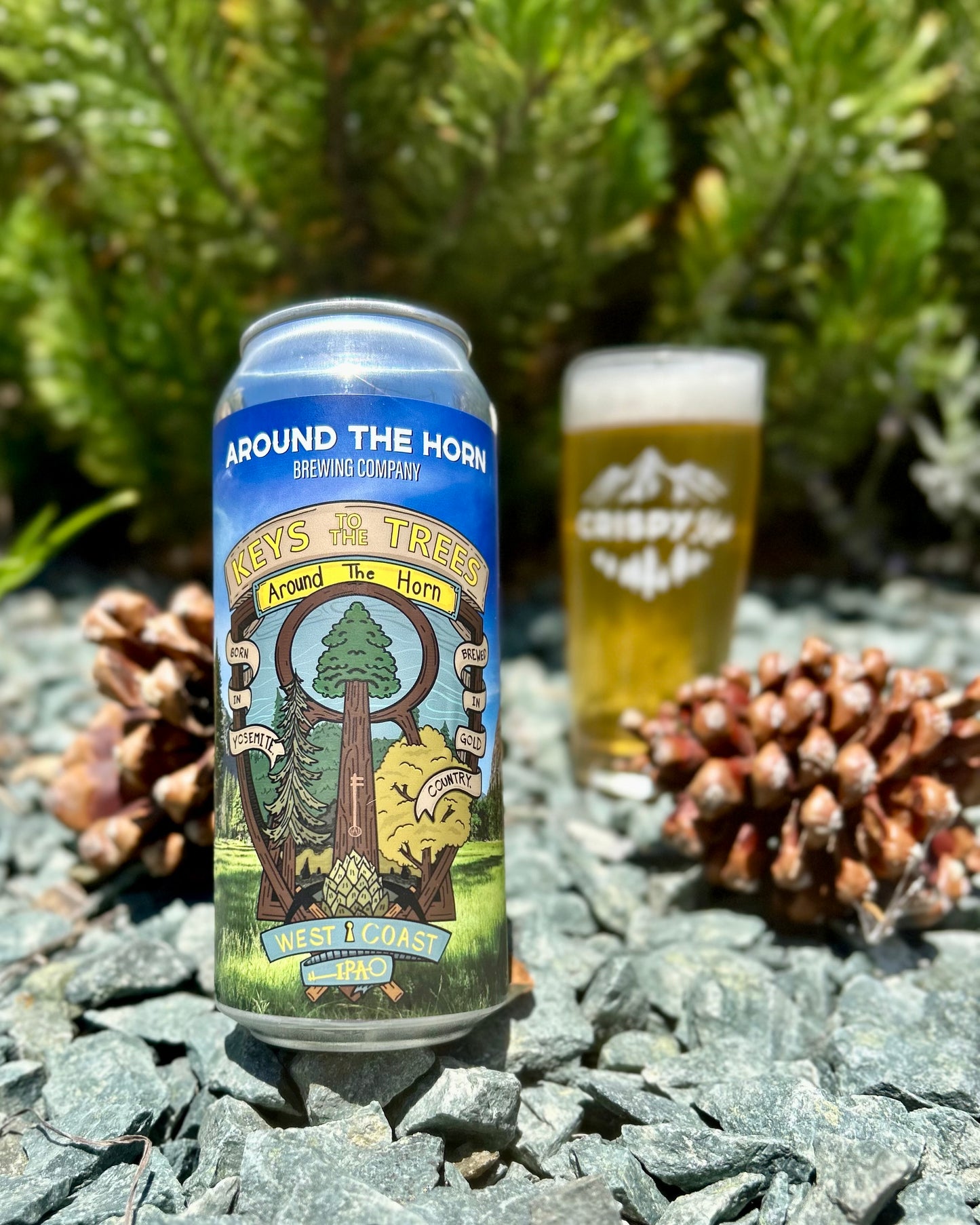 Keys to the Trees